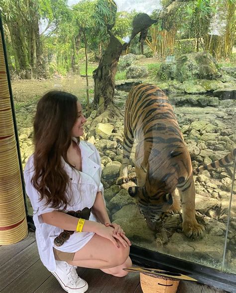 The Tiger of Cebu .
